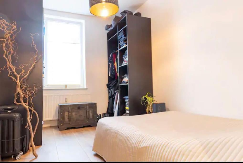 Appartement Design Im Zentrum Von Nienburg!